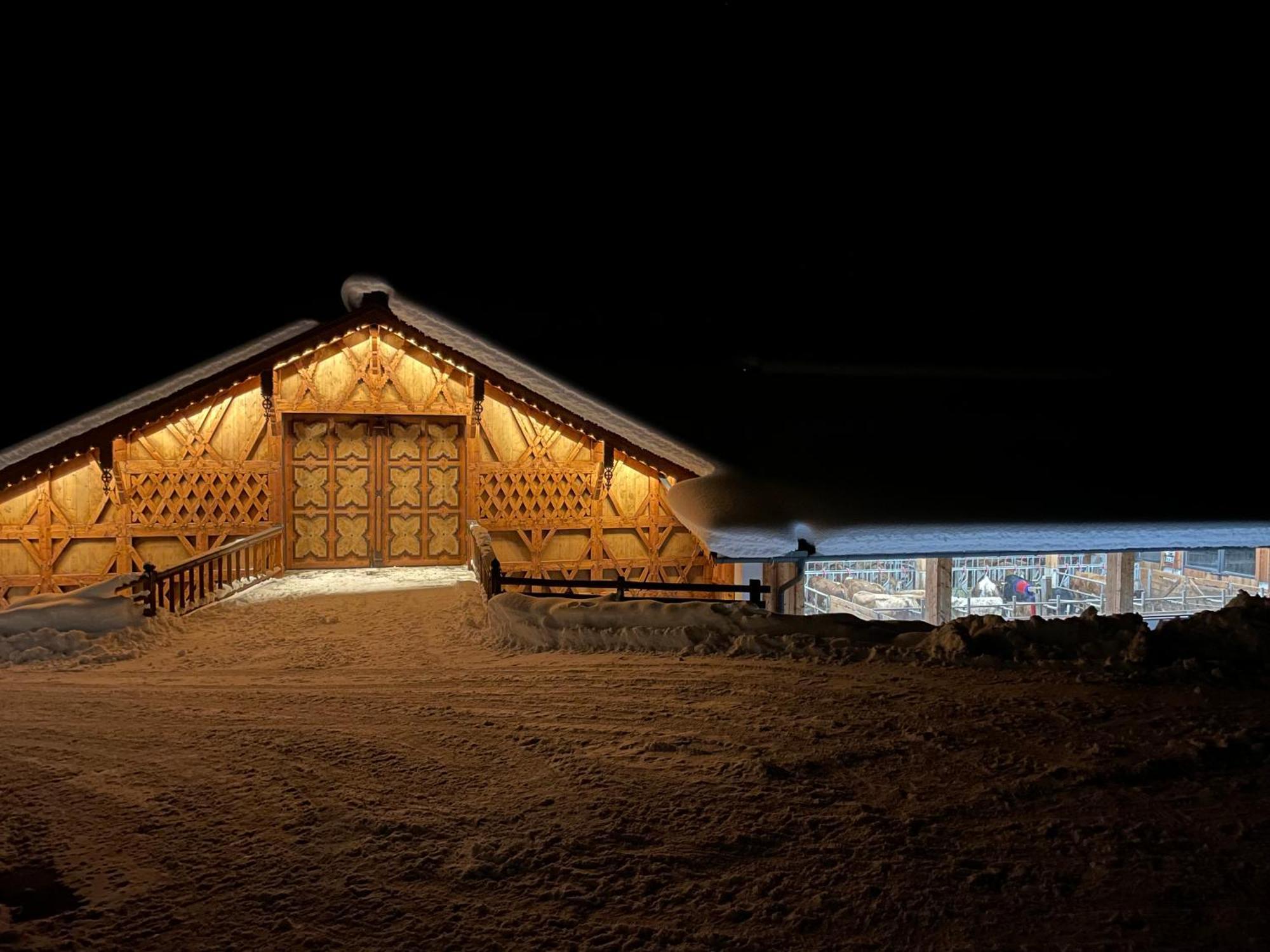 Bauernhof Bio Alpenhof Rostatt Bischofshofen