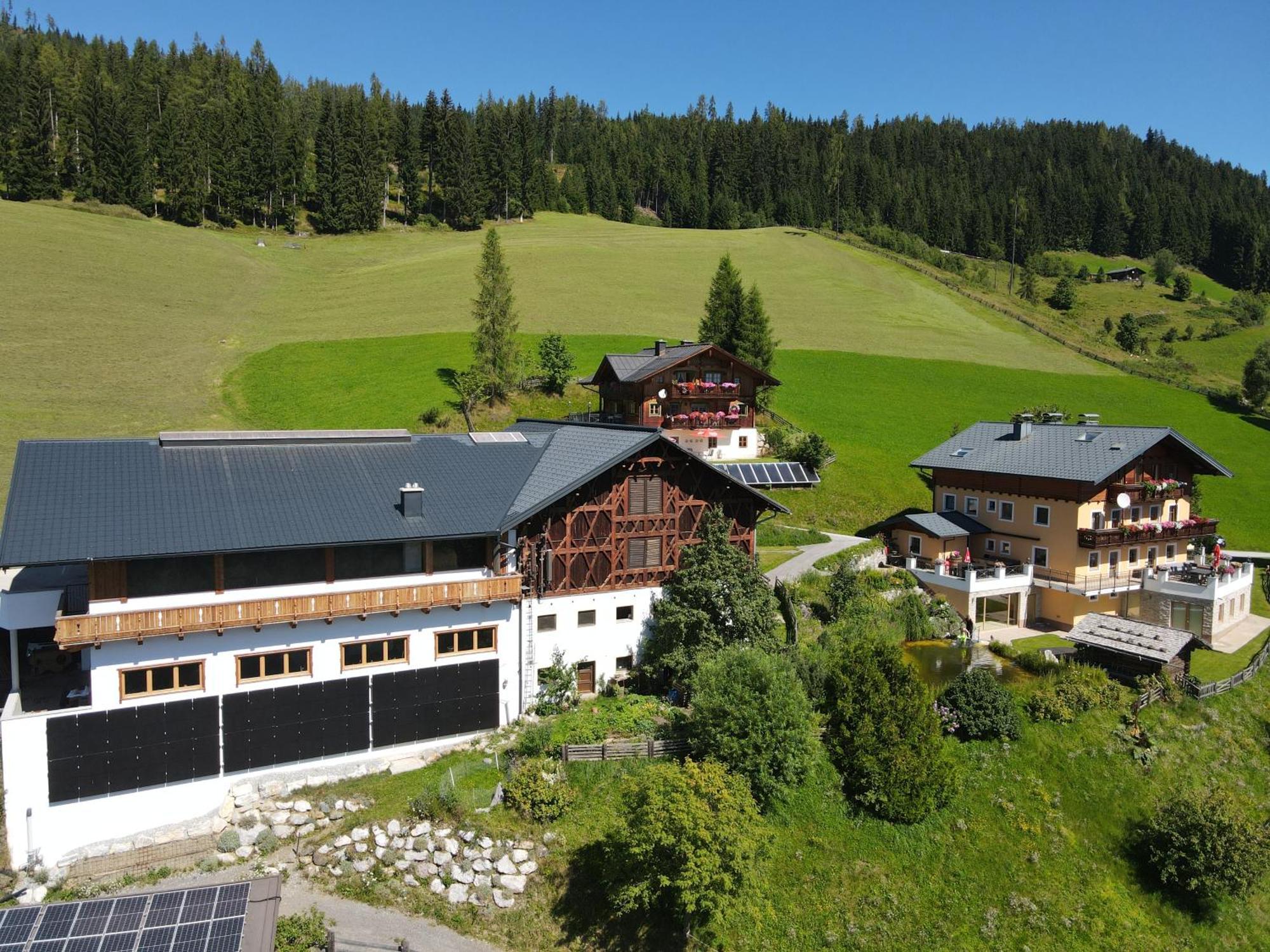 Bauernhof Bio Alpenhof Rostatt Bischofshofen